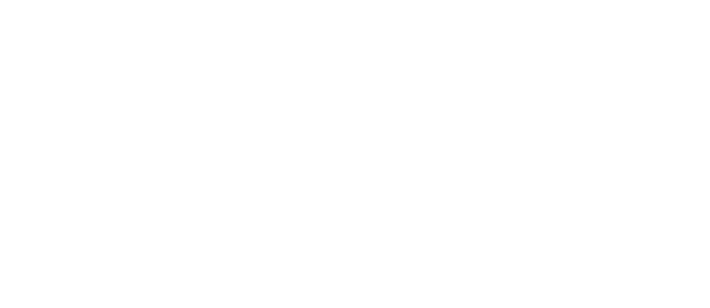 bfa direito migratorio logo