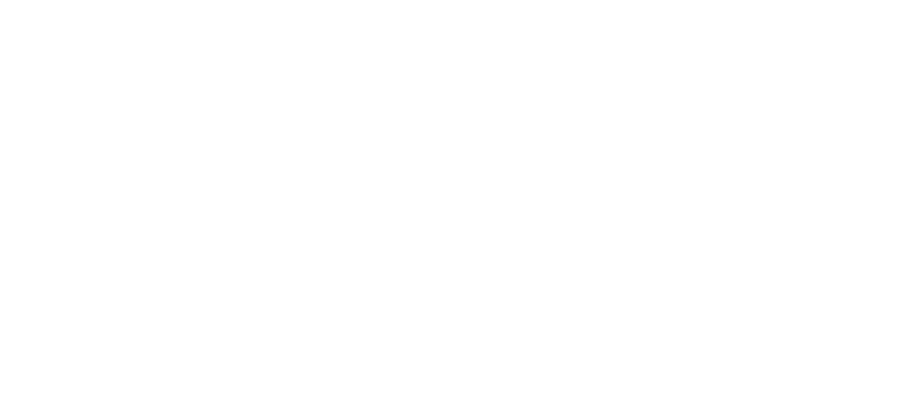 bfa direito migratorio logo